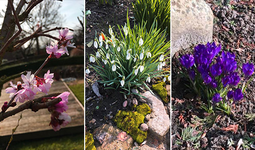 Langsames Frühlingserwachen